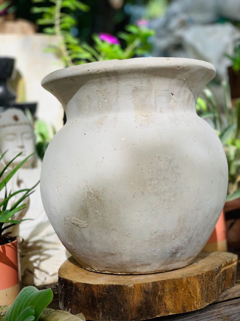 36785 vivero paisajismo orquideas tulum 768x1024