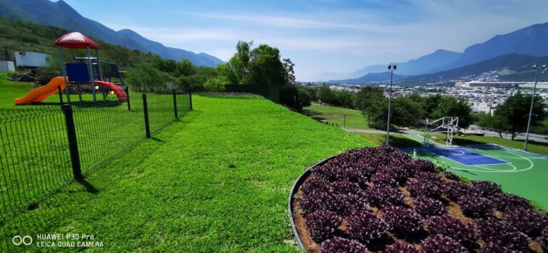 36787 paisajismo verde 768x355