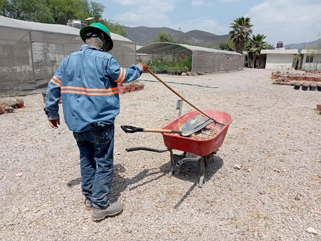 36809 hr jardineria y mantenimiento de areas verdes slp 1024x768