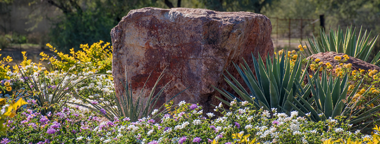 36815 paisajismo sonora 768x292