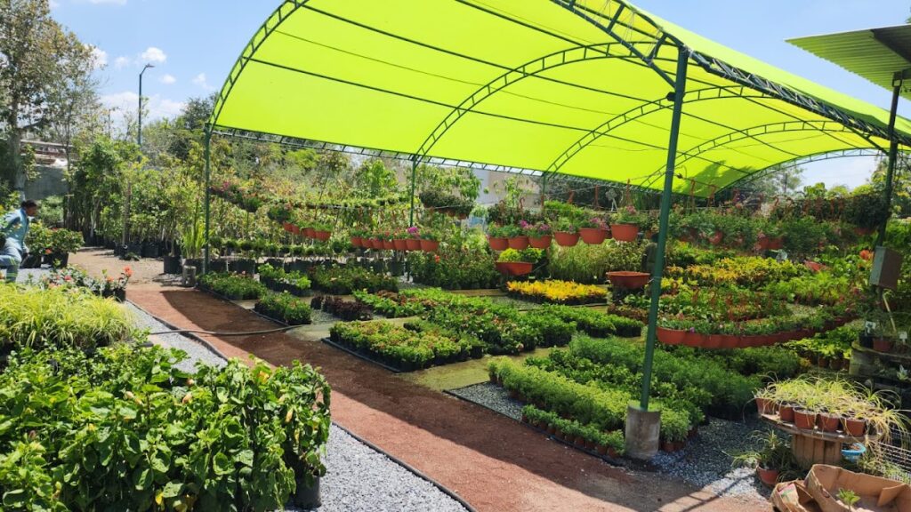 36842 viveros de reynosa matriz 1024x576