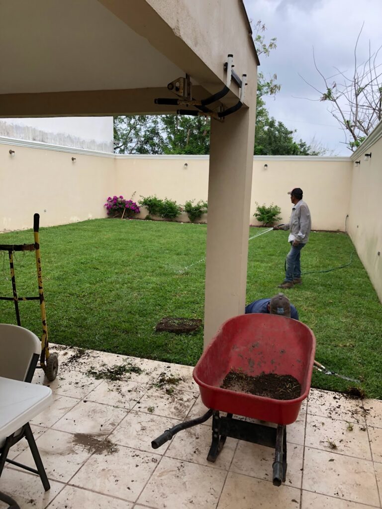 36845 vivero vista verde periferico buena vista 768x1024