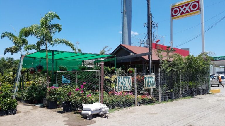 36854 vivero vista verde accion civica 768x432