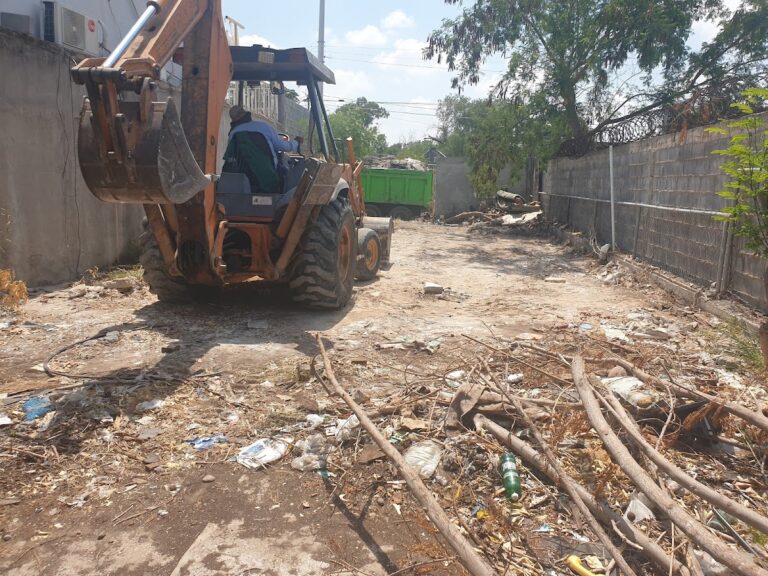 36859 jardineria sogue 768x576