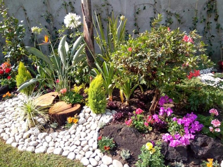 36863 8221 la nueva esperanza8221 768x576