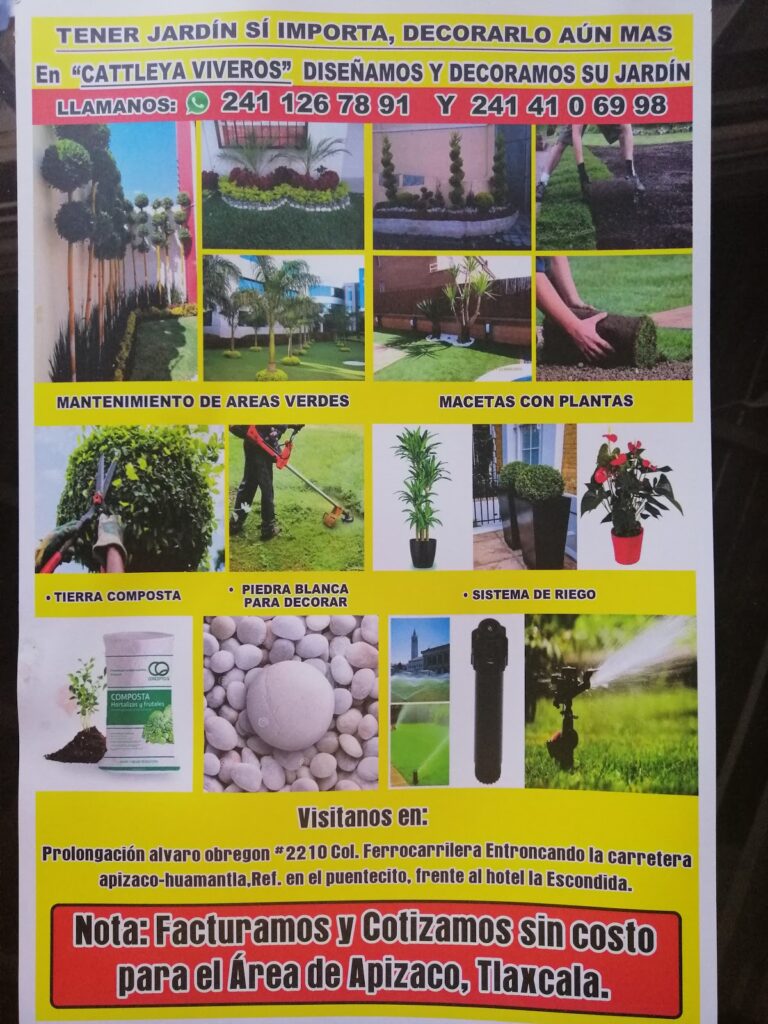 36872 jardineria vivero apizaco. diseno y decoracion 768x1024