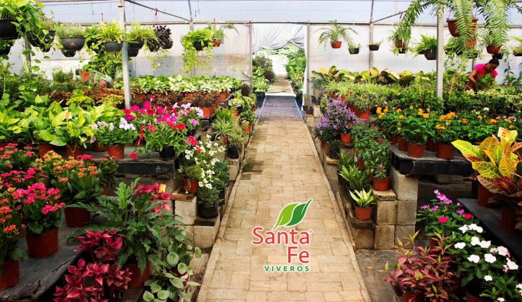 36876 santa fe viveros 1024x593