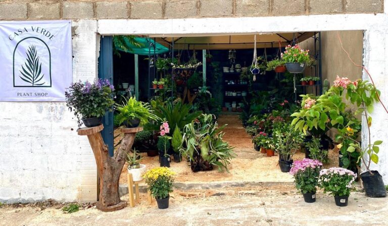 36914 casa verde coatza 768x449