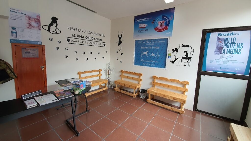 37378 veterinaria mascotas san cristobal 1024x575