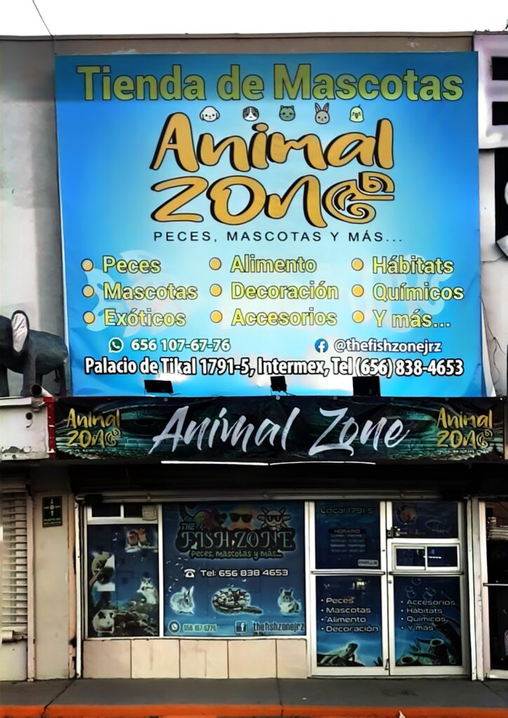 37393 animal zone 724x1024