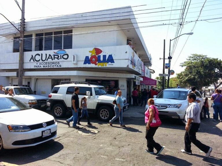 37402 acuario aqua pet colima 768x576