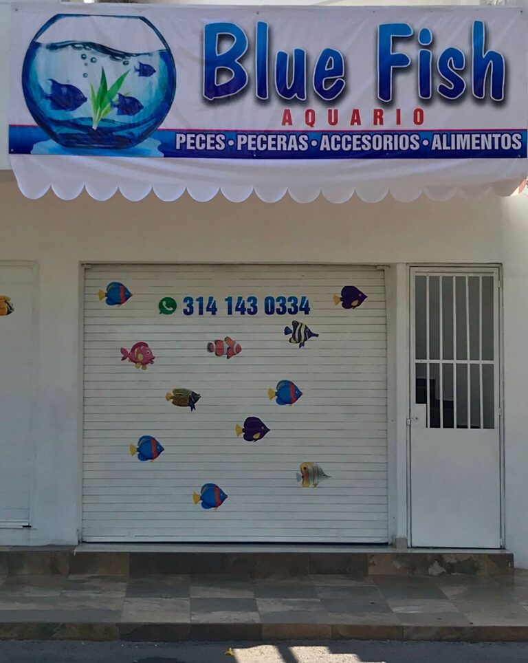 37425 acuario blue fish 768x964
