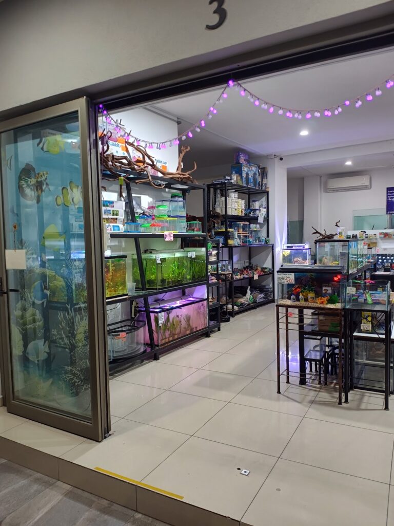 37465 acuario galaxy 768x1024