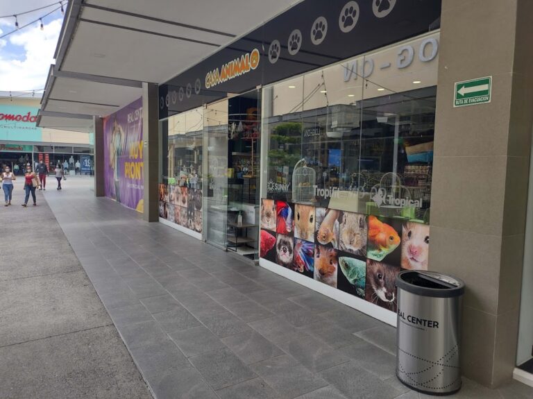 37498 casa animal real center 768x575