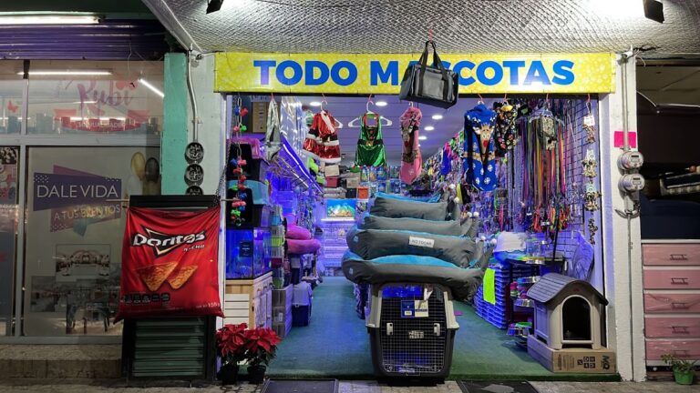37502 todo mascotas toluca centro 768x432