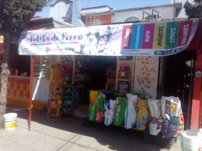 37507 tiendas de accesorios para mascotas la patita de perro 768x576