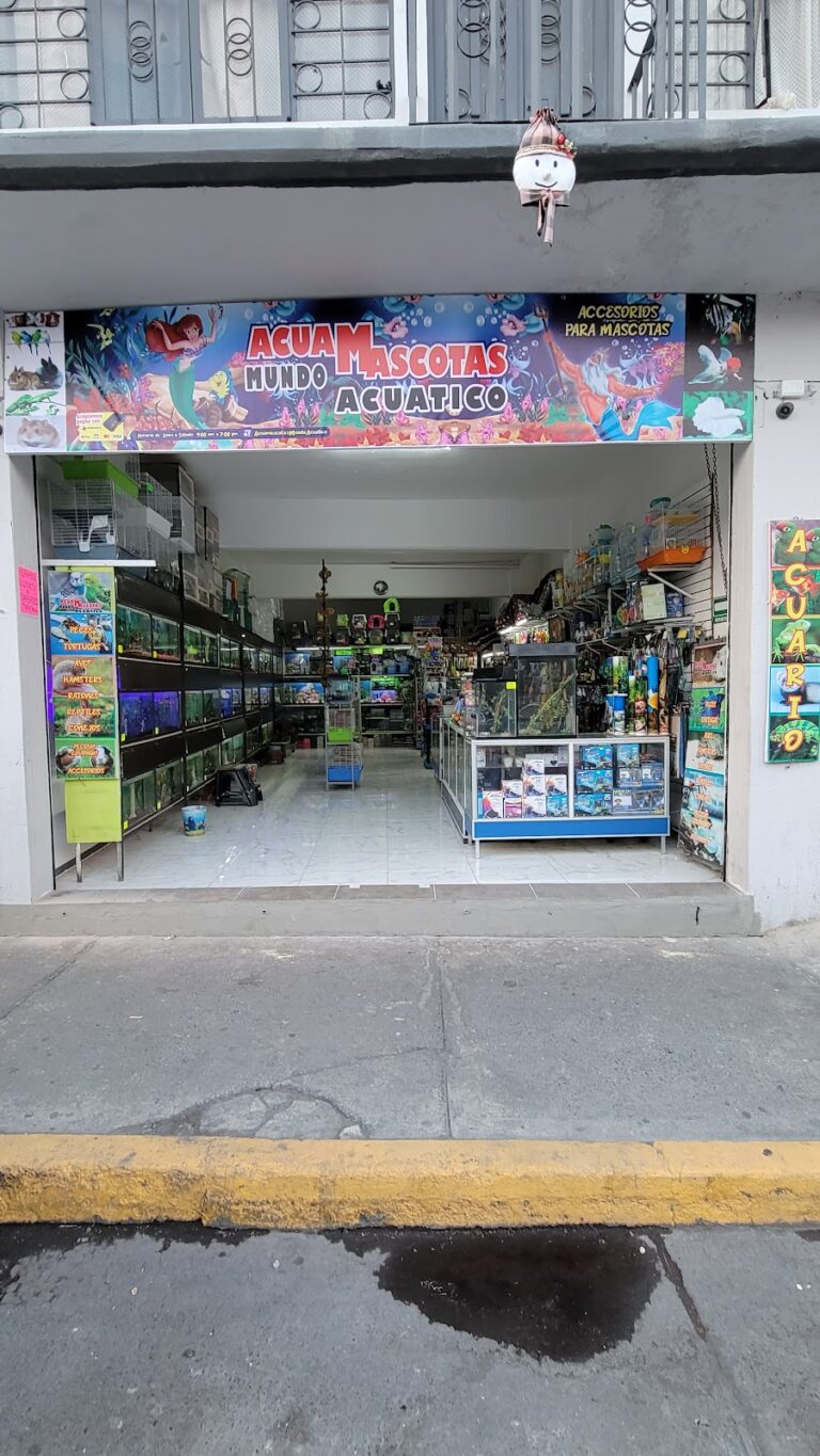 37533 mundo acuatico 768x1365