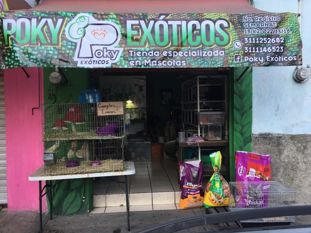 37552 poky exoticos 1024x768