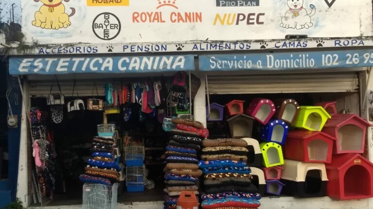 37556 super mascota 768x431