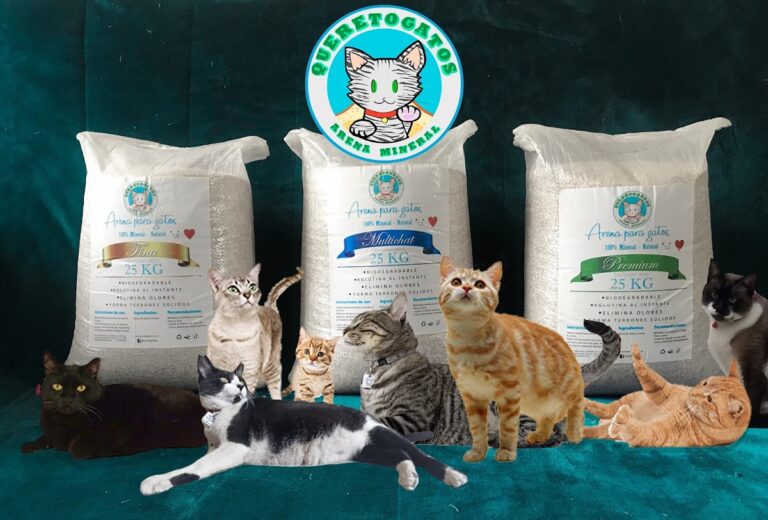 37614 queretogatos 768x520