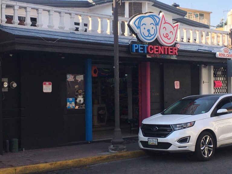 37622 petcenter san andres cholula 768x576