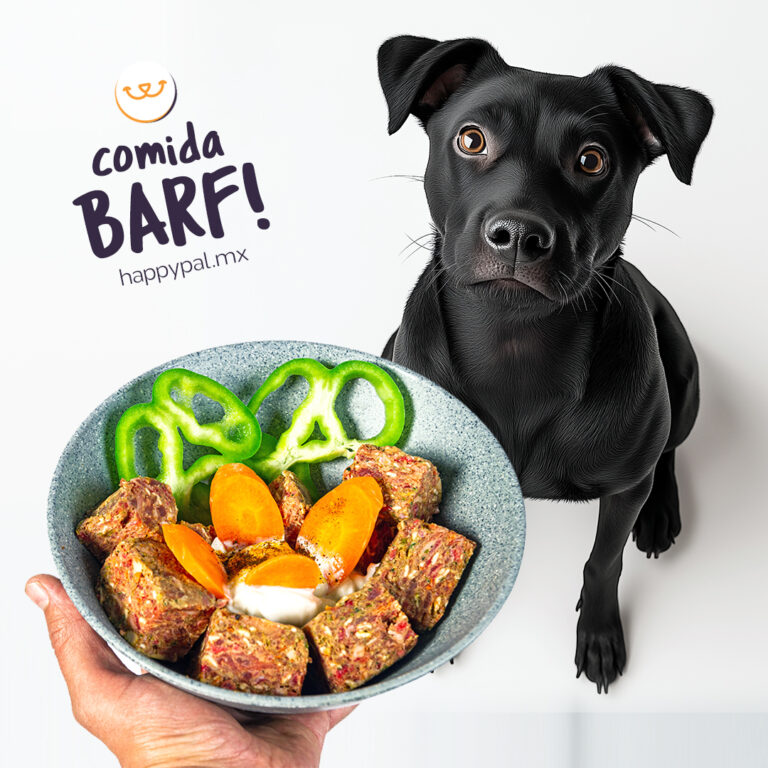 37634 happy pal tulum dieta barf para perros. comida cruda natural 768x768