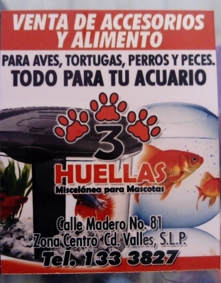 37642 tres huellas 768x983
