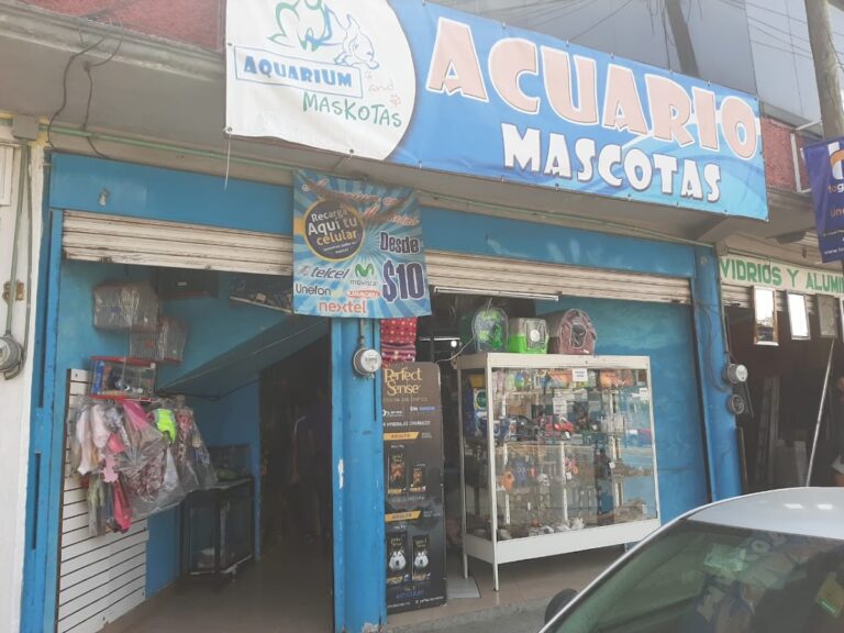 37683 aquarium and maskotas tlaxcala 768x576