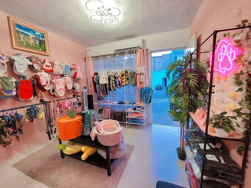 37717 michiguau valladolid 1024x768