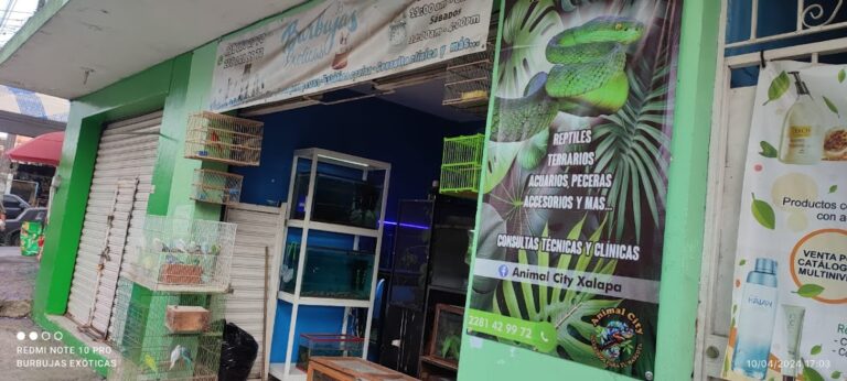 37738 tienda de mascotas animal city xalapa 768x346