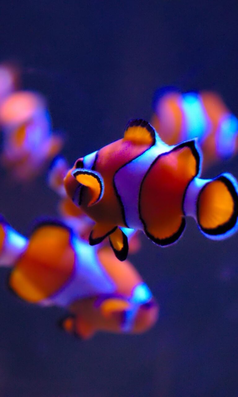 37937 centro de fotocopiado las beres 768x1280