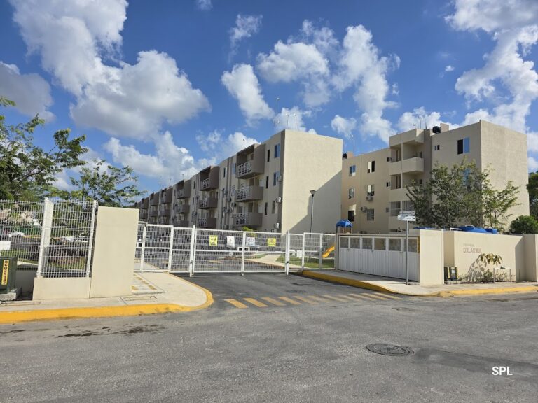 37979 impresiones y copias lettuce 768x576