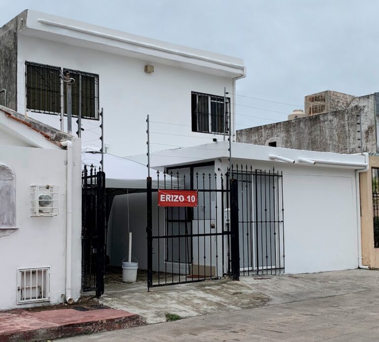 38370 erizo 10 impresion digital 768x694