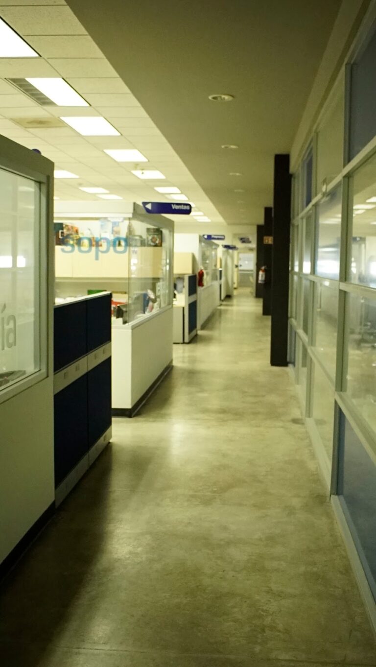 38428 grupo regio 768x1362