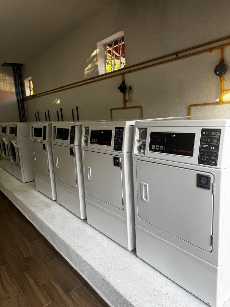 38588 lavanderia anturios 768x1024