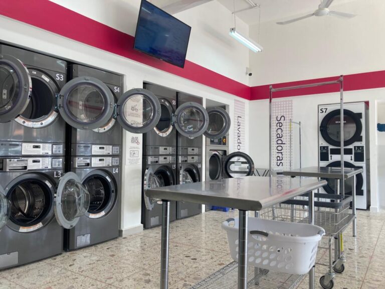 38792 lavanderia lg poza rica 768x576