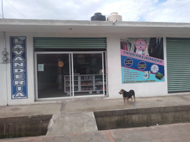 39139 tintoreria y lavanderia soft clean 768x576
