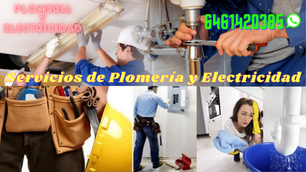 39164 servicio de paqueteria y mensajeria ensenada 1024x577