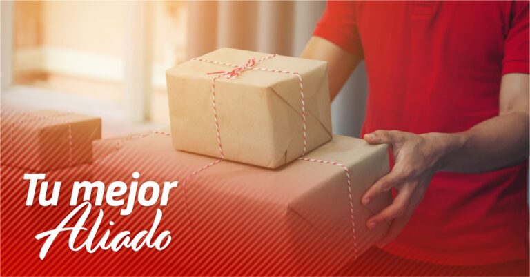 39241 envios primera plus 768x402