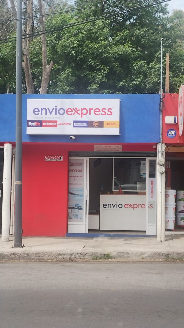 39479 envioexpress tlaxcala 768x1365