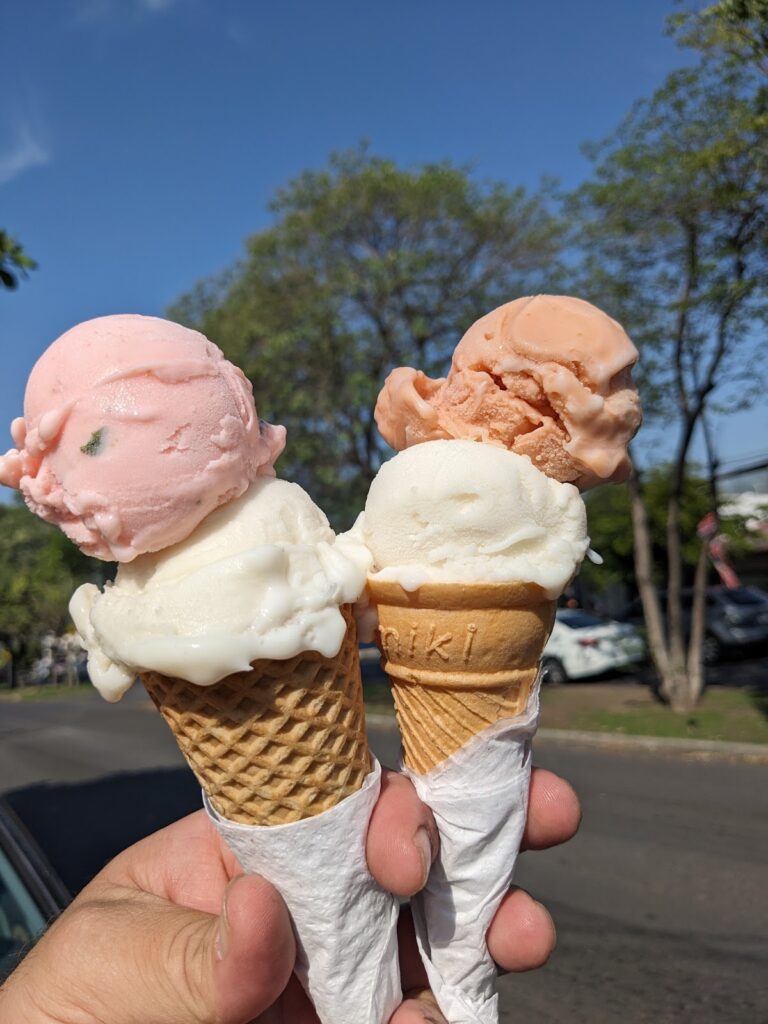 4639 nieves colimita 768x1024