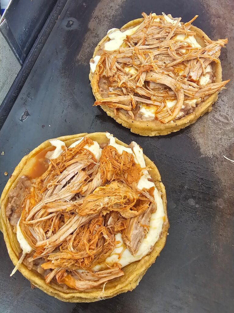 5173 la cochi 768x1024