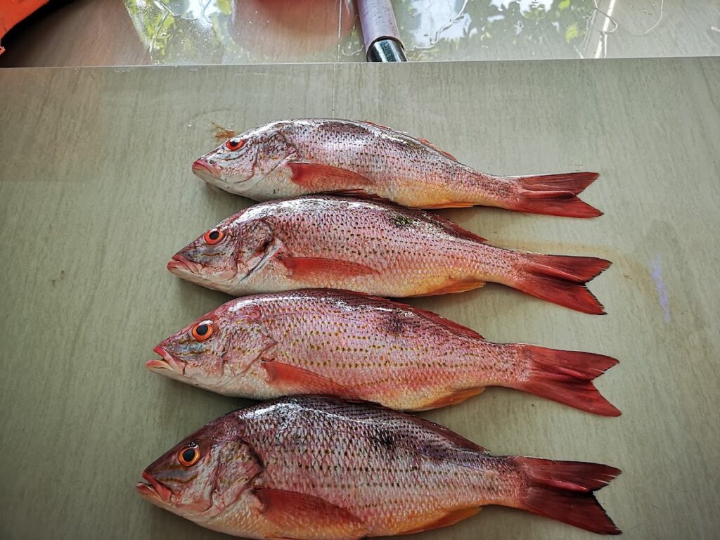 5306 pescaderia ixchel 1024x768
