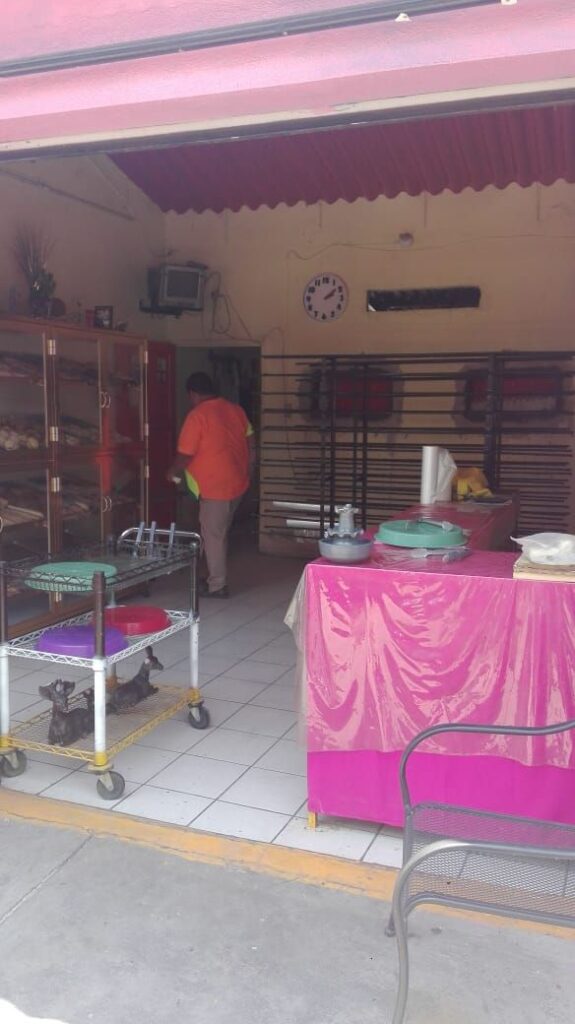 6130 panaderia sol y luna 575x1024