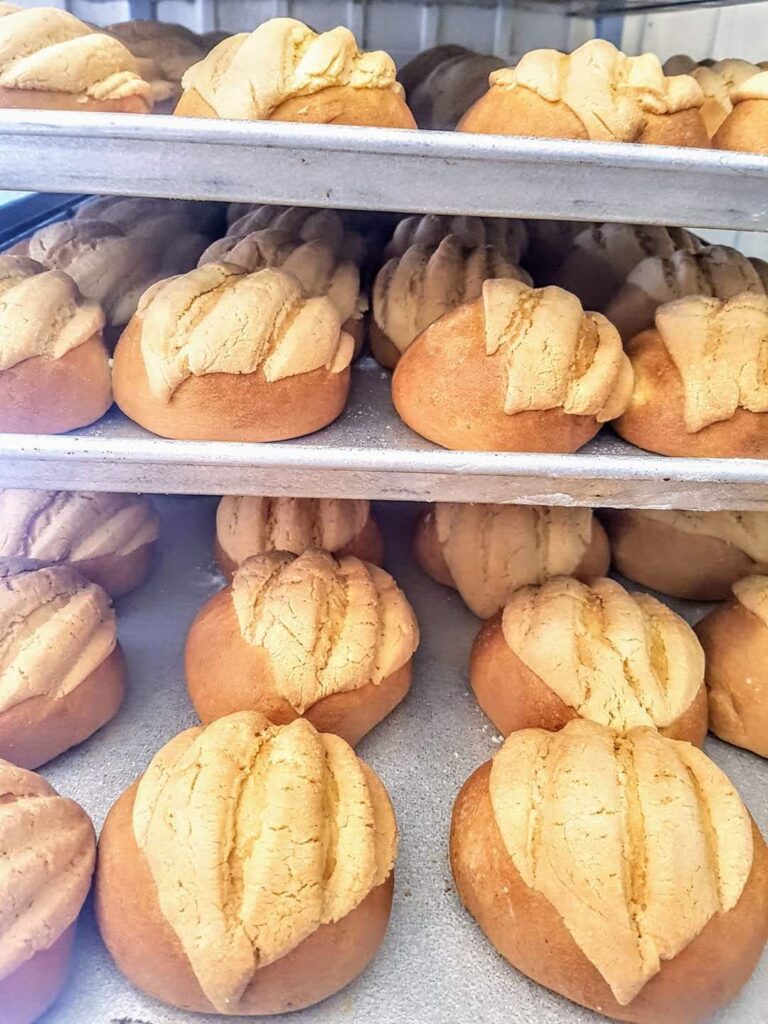 6179 panaderia comala 768x1024