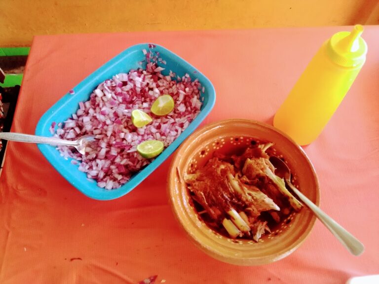 6496 birria de chivo colima 768x576