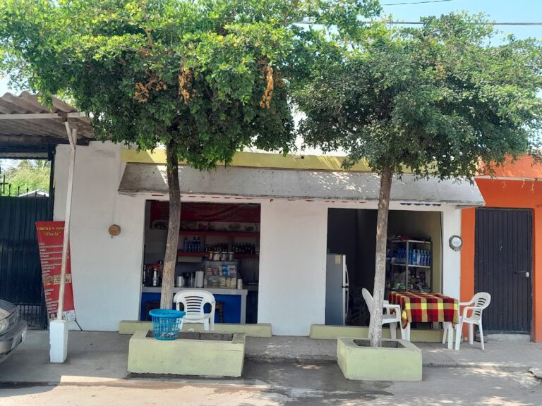 6958 tortas y jugos 8220paola8221 768x576