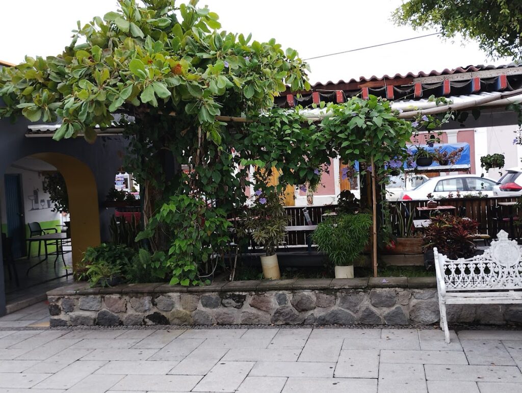 7026 la pimienta el sabor de la cocina 1024x771