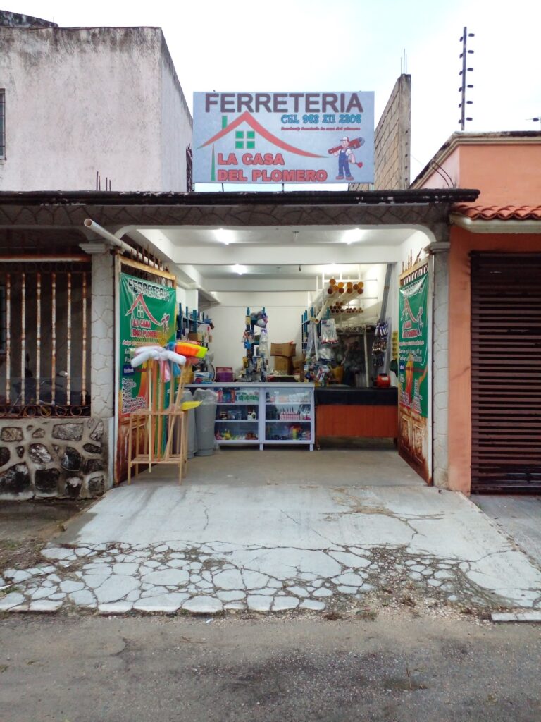 7391 la casa del plomero 768x1024