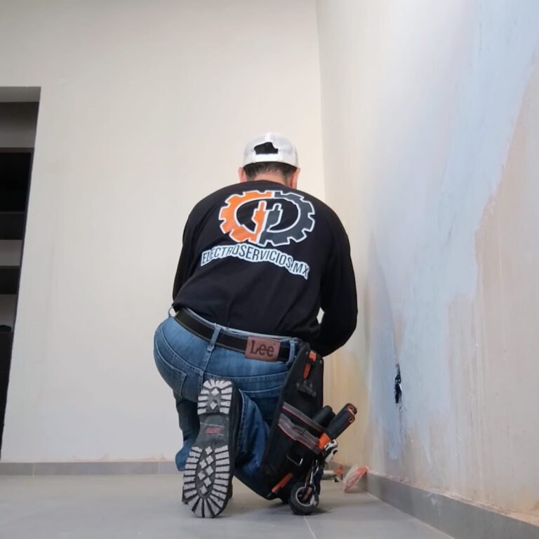 8018 electroservicios.mx  768x768